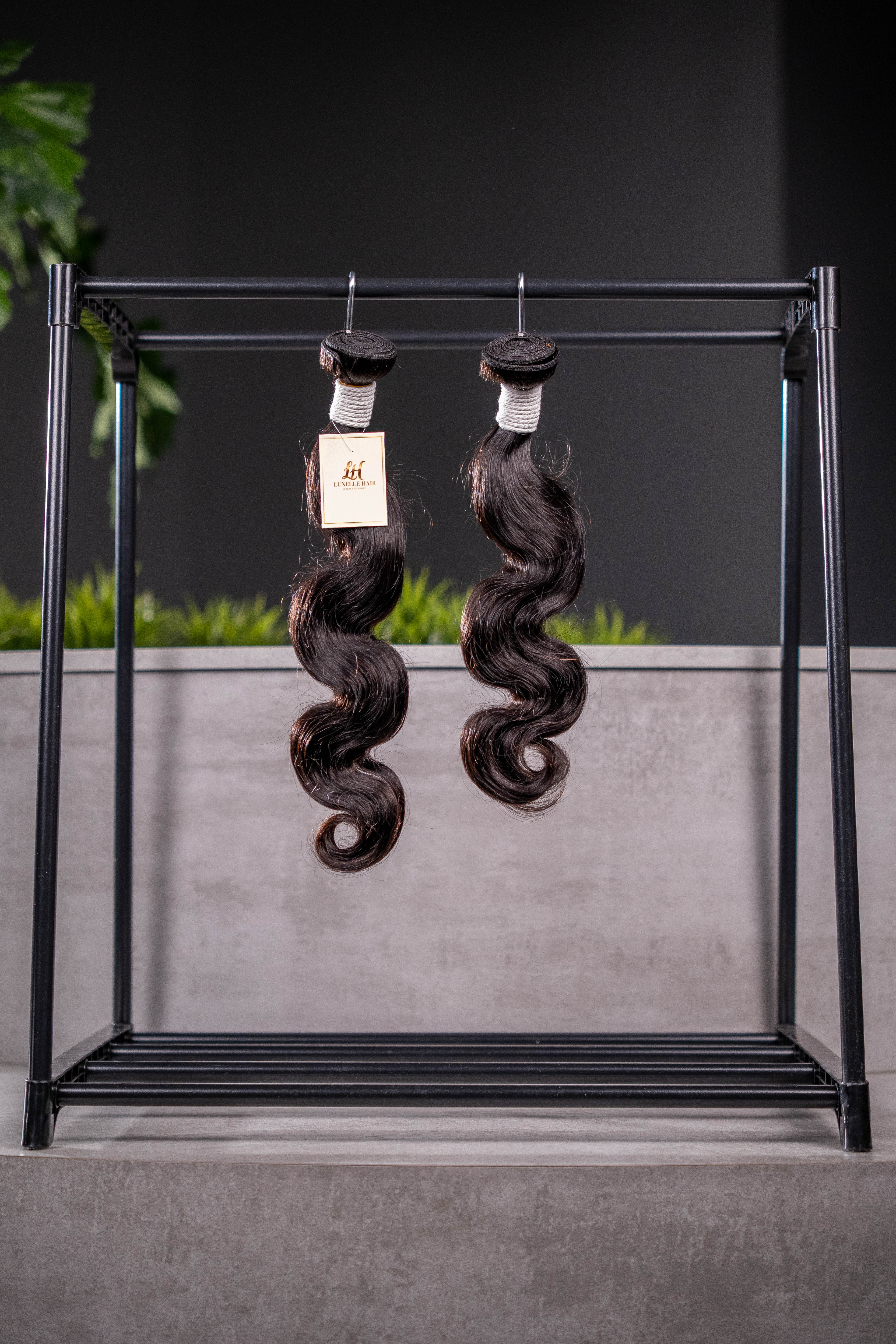 Island Wave (Body Wave)